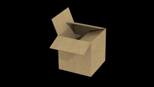 Cardboard Box 1.1 preview image